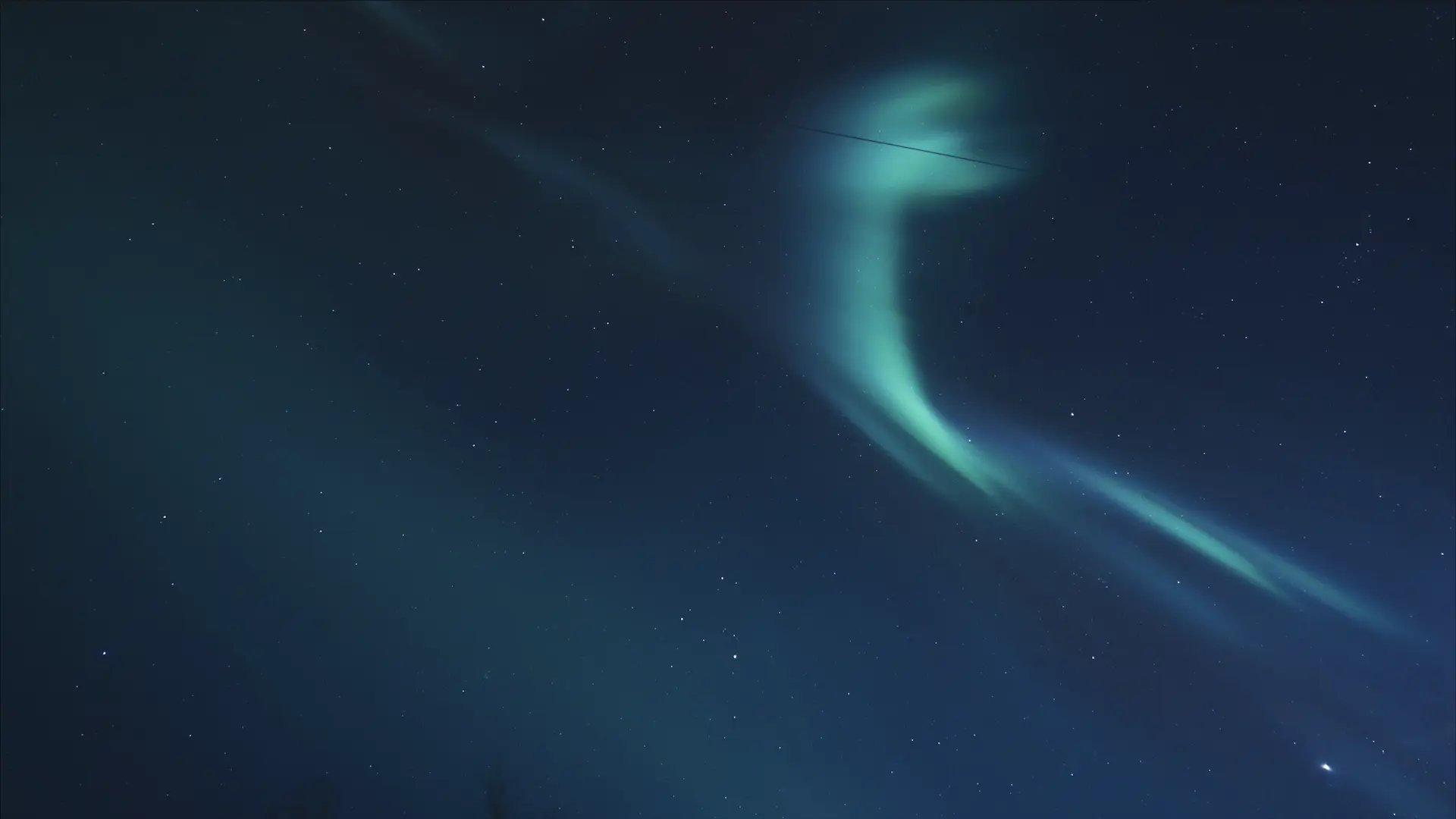 Northern Lights Chase – Tromsø Friluftsenter